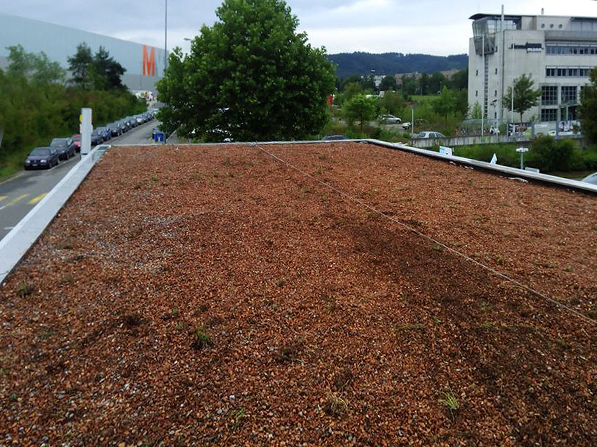 impermeabilizzazioni giardini pensili